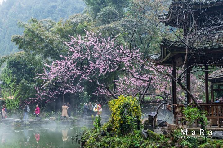 悬崖小屋逃生