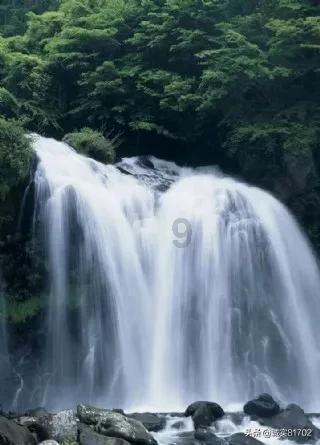 祸乱君心